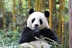 create your personalized and authentic china travel itinerary