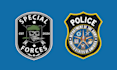 design or redesign a flag, logo or emblem