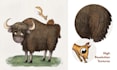 create whimsical hand drawn textured children book illustrations