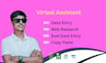do accurate data entry,copy paste,web research and exel data entry
