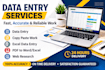 do data entry, copy paste, and excel work