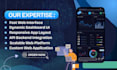 build custom responsive web app, dynamic dashboard, API backend