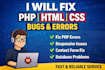 do website bug fixing