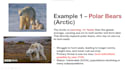create professional powerpoint presentation and academic research slides