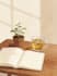 professional dream interpretation, spiritual guidance