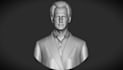 create a realistic 3d head, bust or likeness for 3d print and scan cleanup