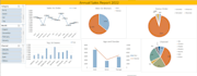 create a professional excel dashboard with charts and kpis