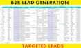 provide targeted b2b lead generation and verified email list