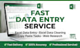 do accurate data entry, excel data cleaning, copy paste and web research