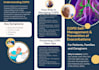 create your powerpoint presentation, keynote, google slides, canva
