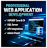 do custom website and backend application development