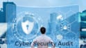 perform a website security audit  vulnerability assessment
