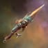 draw concepts for sci fi and fantasy weapons