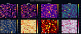 create ai powered data visualizations using python and power bi