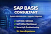 be your sap basis consultant for upgrade and support