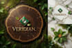 create professional logo design HD, minimalist and modern