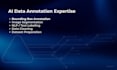 do ai data annotation and lidar image labeling