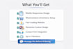 design a professional wordpress website with elementor
