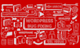 quickly fix wordpress issues, fix wordpress errors, bugs, fix wordpress website
