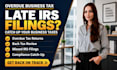 fix overdue US business tax returns and late irs filings