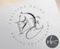 design hand drawn equine, horse logo
