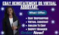 ebay reinstatement ds virtual assistant ecommerce store management ebay sales