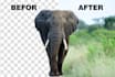 do background removal clipping path photoshop editing