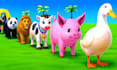 create 3d cartoon animals and kids animation video