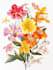 draw botanical illustration flower, plant design