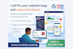 ix website bugs and responsive design