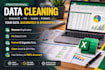 clean, format and organise your excel or CSV data professionally