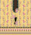 design professional textile patterns