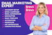 setup brevo CRM workflow, integration and contact segmentation