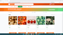 develop a professional responsive websiteusing HTML CSS js