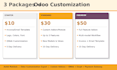 develop custom odoo addons, invoice and email  templates,payment gateway