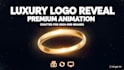 create a professional animated logo intro for your brand