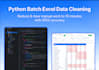 professional excel automation and python data processing