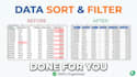 sort, filter, and clean your excel data professionally