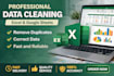 do excel data cleaning, formatting and remove duplicates