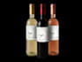 design a premium wine label for your brand print ready