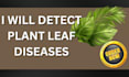 do leaf detect plant diseases