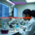 offer accurate biological lessons
