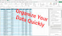 do fast and accurate data entry on excel or google sheets