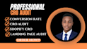 perform professional cro audit for shopify, ecommerce webs