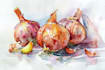 draw watercolor food illustration