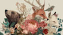 draw animal and botanical illustrations