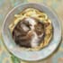 draw a silly pet portrait