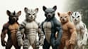 create high end ai cartoons and animations