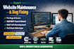 fix website bugs, errors, performance and security issues