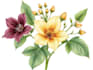 do a botanical illustration